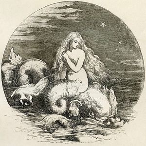 RESERVED SWEET SURPRISES